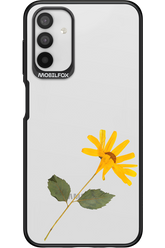 Pressed Flower - Samsung Galaxy A04s
