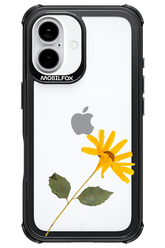 Pressed Flower - Apple iPhone 16
