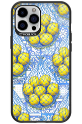 Net Style - Apple iPhone 12 Pro Max