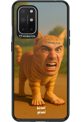 Bisoi Pisoi - OnePlus 8T