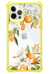 Amalfi Orange - Apple iPhone 12 Pro
