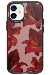 Amaryllis Mist - Apple iPhone 12 Mini