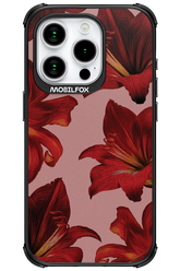 Amaryllis Mist - Apple iPhone 15 Pro