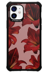 Amaryllis Mist - Apple iPhone 12
