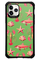 Sea Stars - Apple iPhone 11 Pro