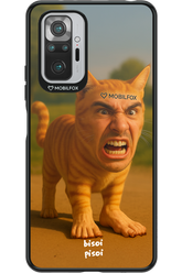 Bisoi Pisoi - Xiaomi Redmi Note 10S
