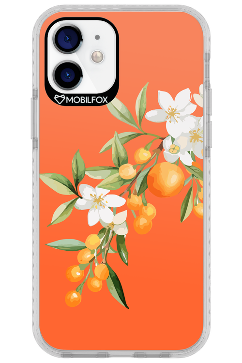 Amalfi Oranges - Apple iPhone 12