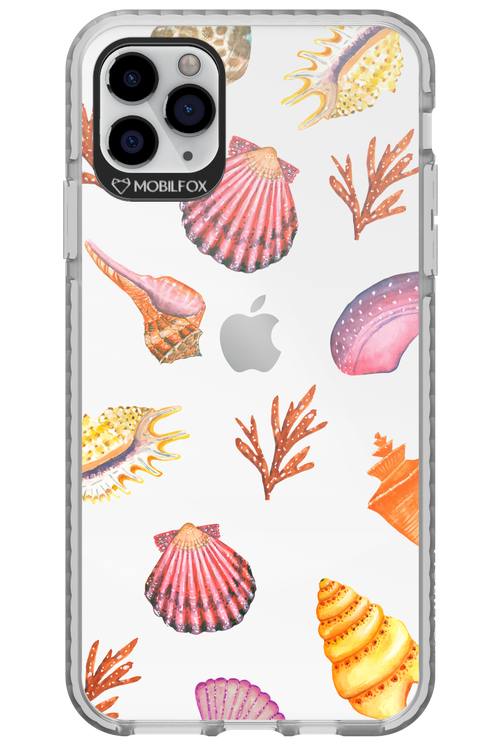 Sea Shells - Apple iPhone 11 Pro Max