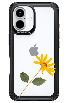 Pressed Flower - Apple iPhone 16