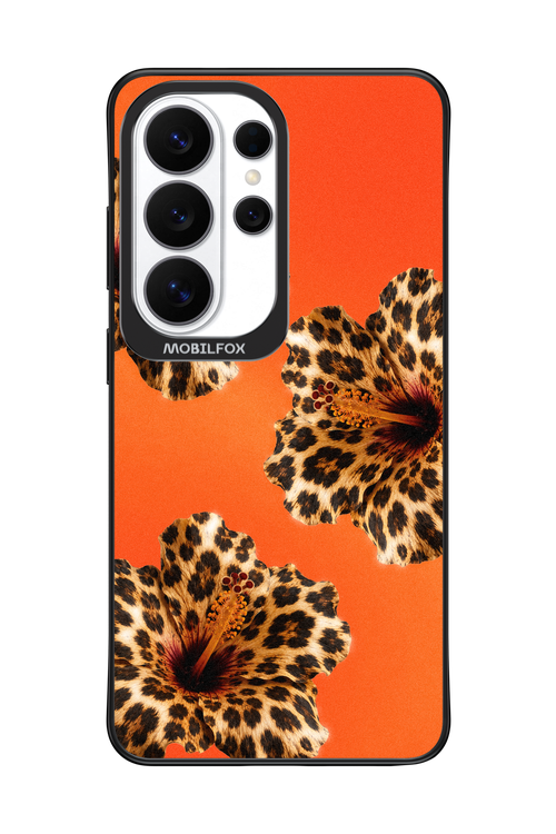 Sun Purr 2.0 - Samsung Galaxy S26 Ultra