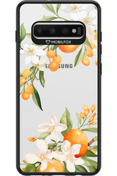 Amalfi Orange 2.0 - Samsung Galaxy S10+