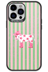 Youre a star 2.0 - Apple iPhone 13 Pro Max