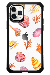 Sea Shells - Apple iPhone 11 Pro