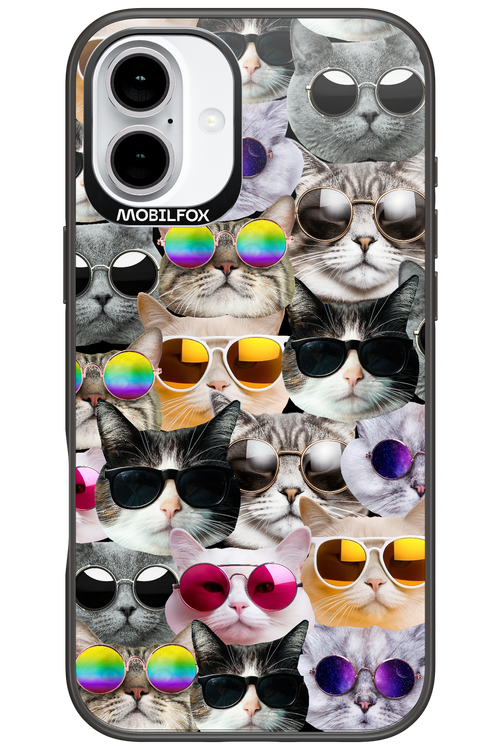 Cat World - Apple iPhone 16 Plus