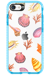 Sea Shells - Apple iPhone SE 2020