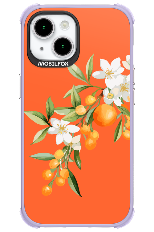 Amalfi Oranges - Apple iPhone 15