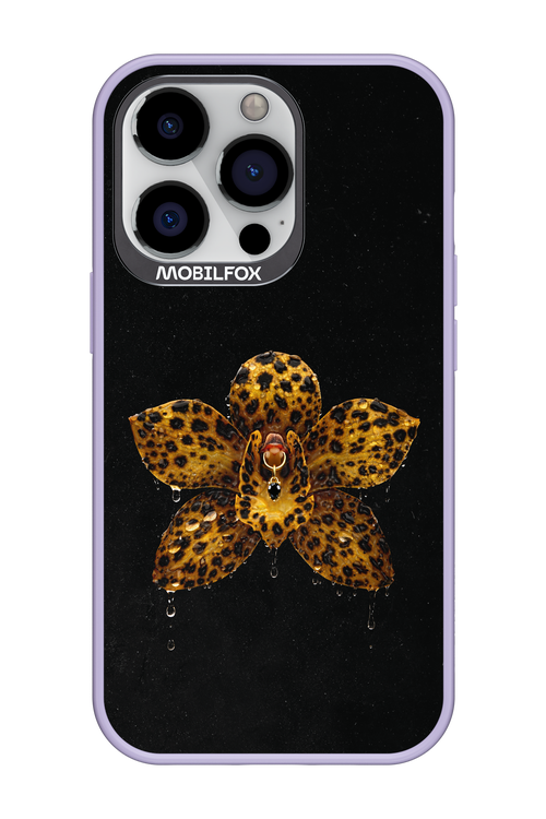 Wet & Wild 2.0 - Apple iPhone 13 Pro