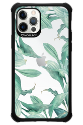 Greenpeace - Apple iPhone 12 Pro