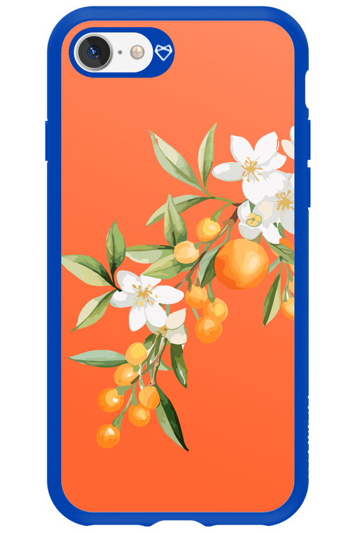 Amalfi Oranges - Apple iPhone 7