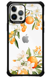 Amalfi Orange 2.0 - Apple iPhone 12 Pro Max