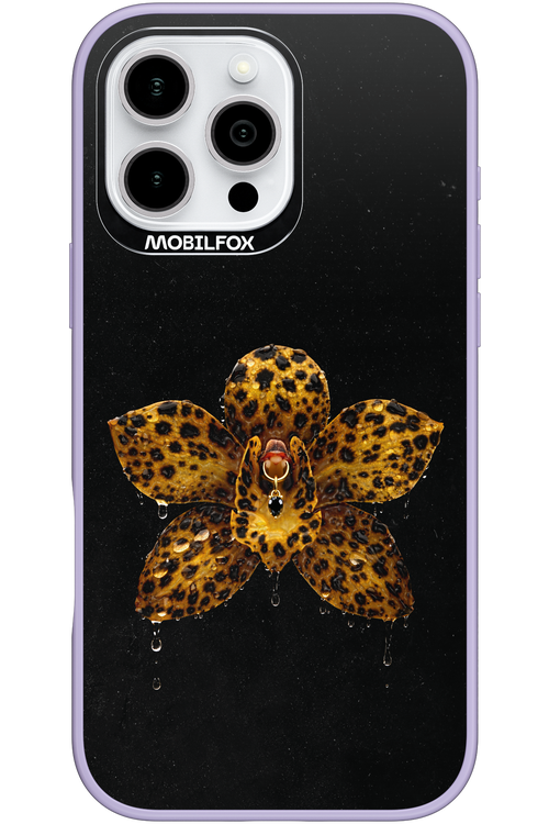 Wet & Wild 2.0 - Apple iPhone 16 Pro Max