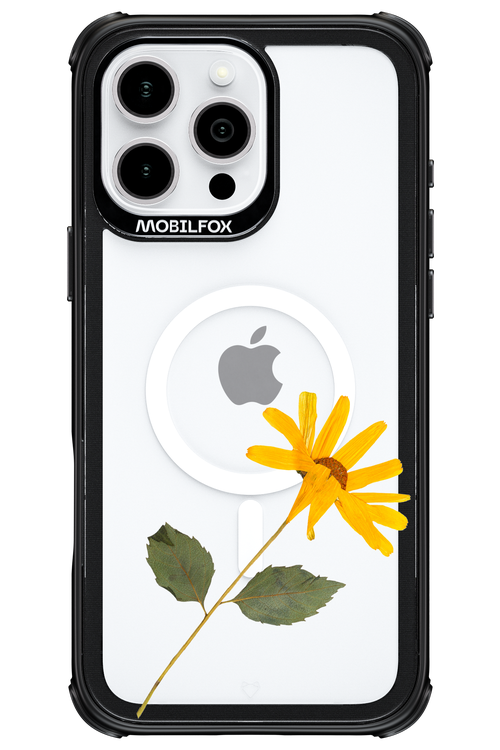 Pressed Flower - Apple iPhone 16 Pro Max