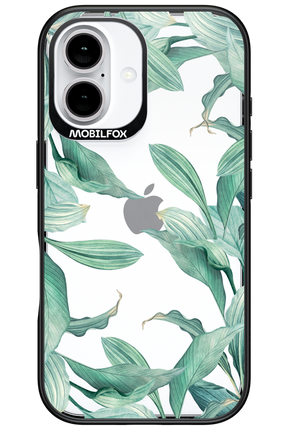 Greenpeace 2.0 - Apple iPhone 16