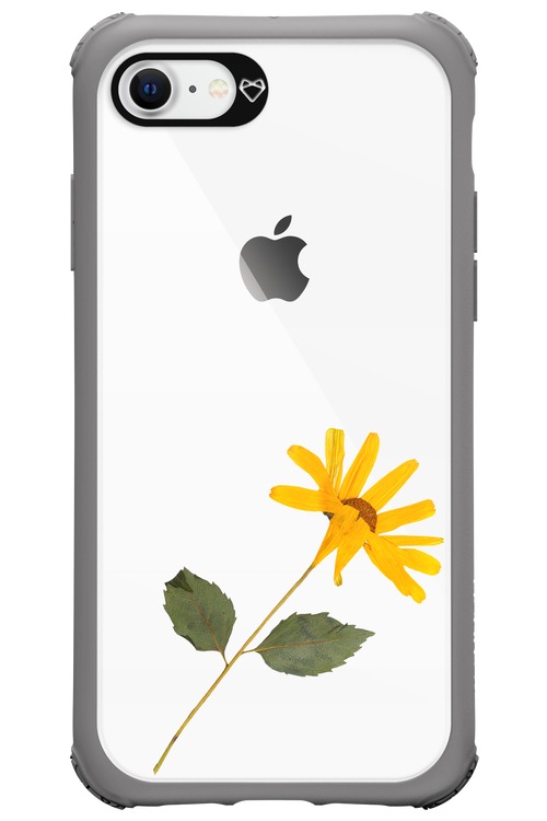 Pressed Flower - Apple iPhone 8