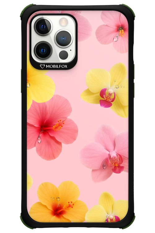 Sunset Flowers - Apple iPhone 12 Pro Max