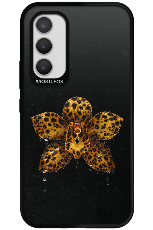 Wet & Wild 2.0 - Samsung Galaxy A34
