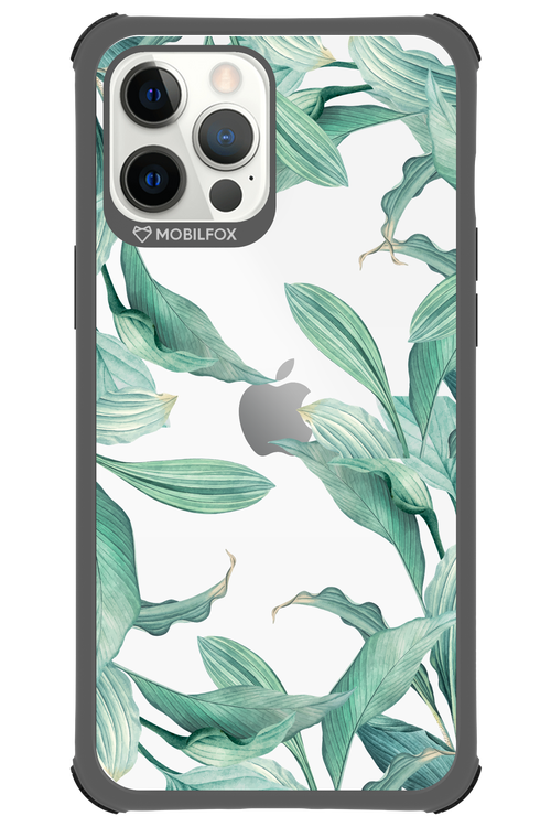 Greenpeace - Apple iPhone 12 Pro Max