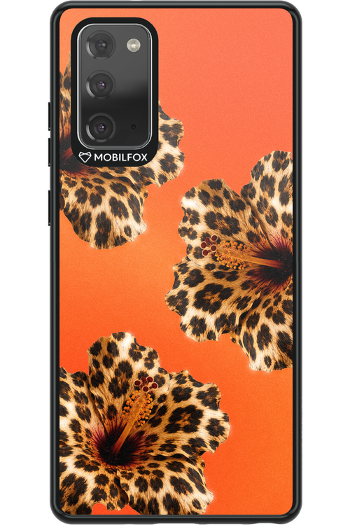 Sun Purr 2.0 - Samsung Galaxy Note 20