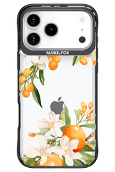 Amalfi Orange - Apple iPhone 17 Pro Max