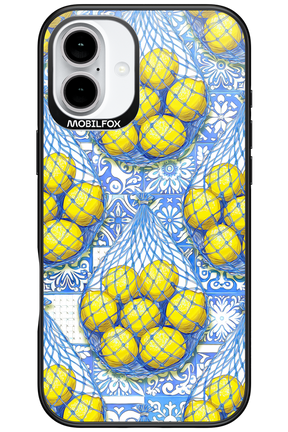 Net Style - Apple iPhone 16 Plus