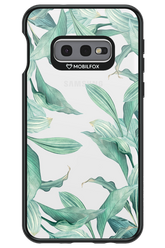Greenpeace - Samsung Galaxy S10e