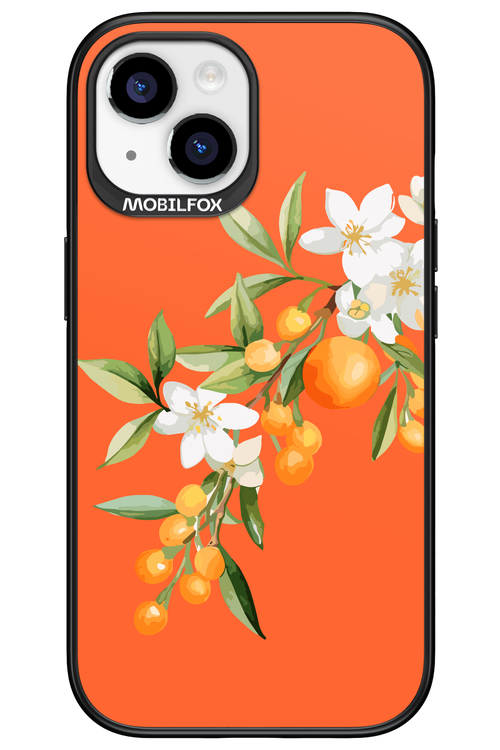 Amalfi Oranges - Apple iPhone 15