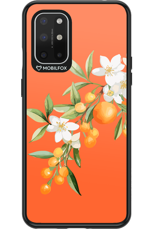 Amalfi Oranges - OnePlus 8T