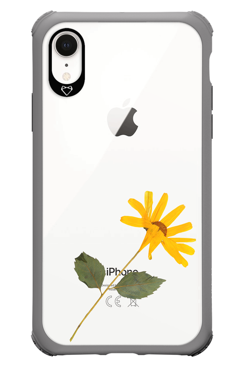 Pressed Flower - Apple iPhone XR