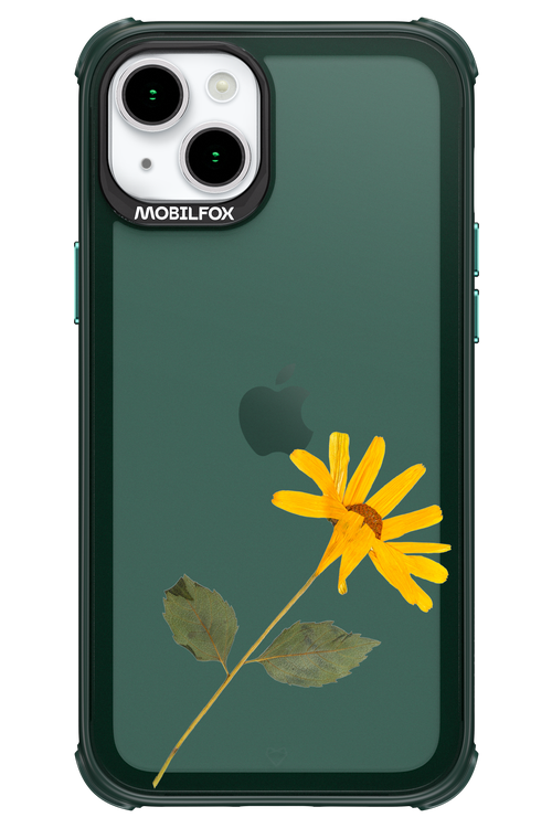 Pressed Flower - Apple iPhone 15 Plus