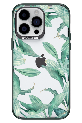 Greenpeace - Apple iPhone 14 Pro Max