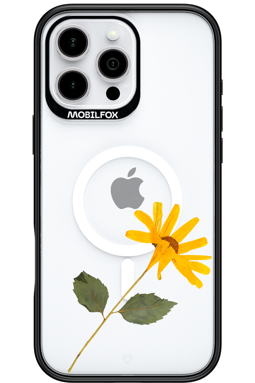 Pressed Flower - Apple iPhone 16 Pro Max