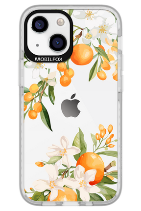 Amalfi Orange 2.0 - Apple iPhone 13 Mini