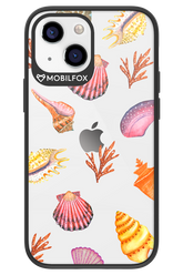 Sea Shells - Apple iPhone 13 Mini