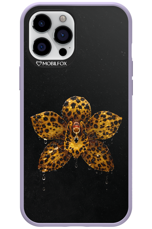 Wet & Wild 2.0 - Apple iPhone 12 Pro Max