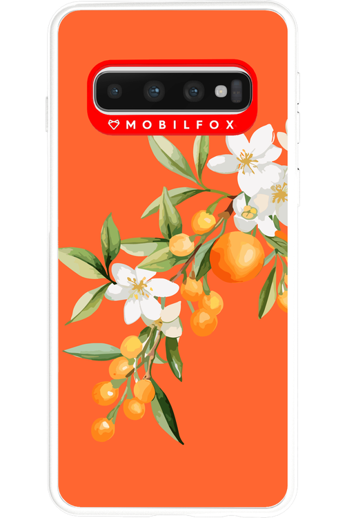 Amalfi Oranges - Samsung Galaxy S10