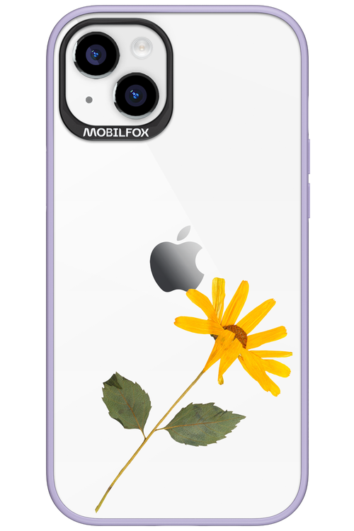 Pressed Flower - Apple iPhone 15 Plus