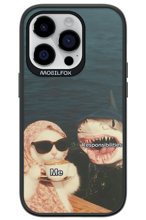 Responsibilities - Apple iPhone 14 Pro