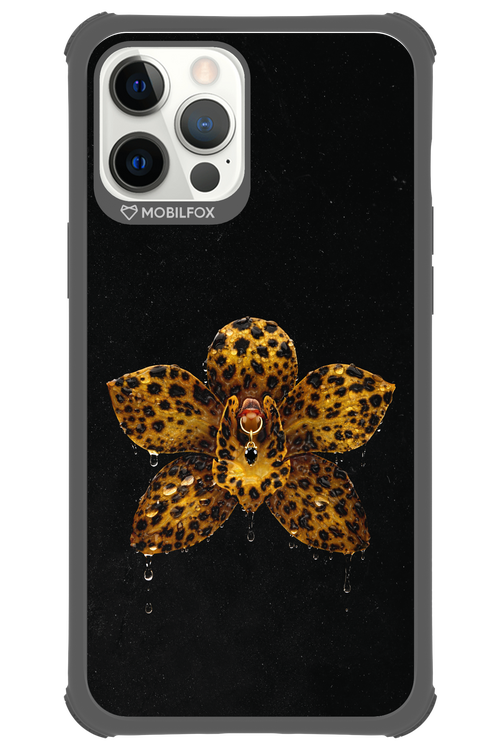 Wet & Wild 2.0 - Apple iPhone 12 Pro Max