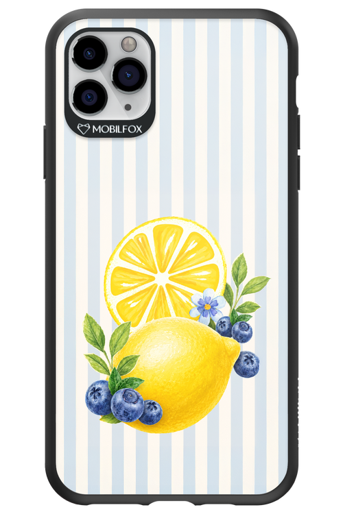 Fresh Flash 2.0 - Apple iPhone 11 Pro Max