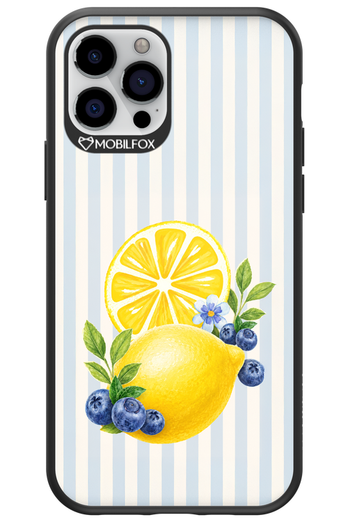 Fresh Flash 2.0 - Apple iPhone 12 Pro